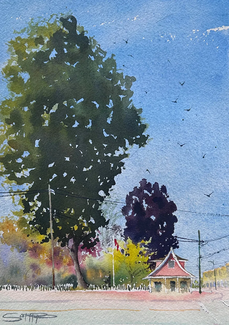 Watercolour painting of a giant green tree next to a smaller dark purple tree towering over the Steveston Museum and Post Office with bright colourful plants and foliage to the left behind a white pisket fence painted in a loose impressionistic manner. The sky is bright blue with seagulls in the air, the scene feels very hot and summery.