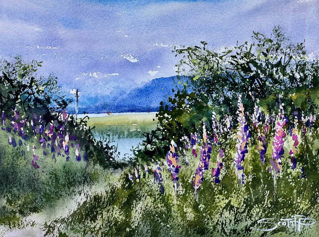 A watercolour painting showing pink and purple Lupin flowers with a backdrop of the Vancouver mountains with a moody sky. 