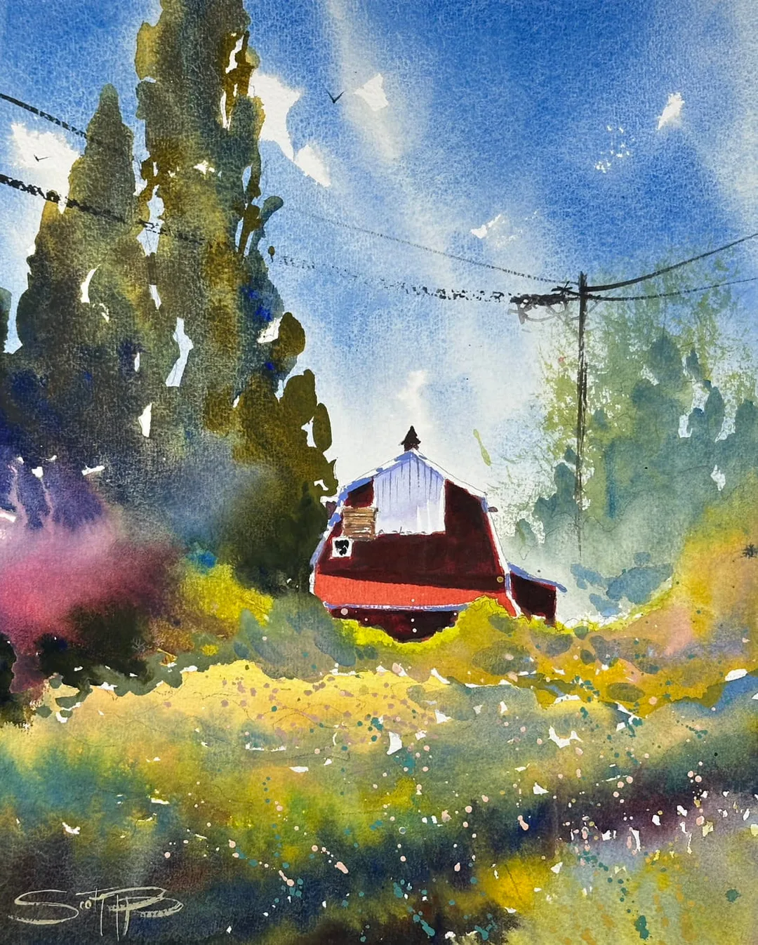 Picture