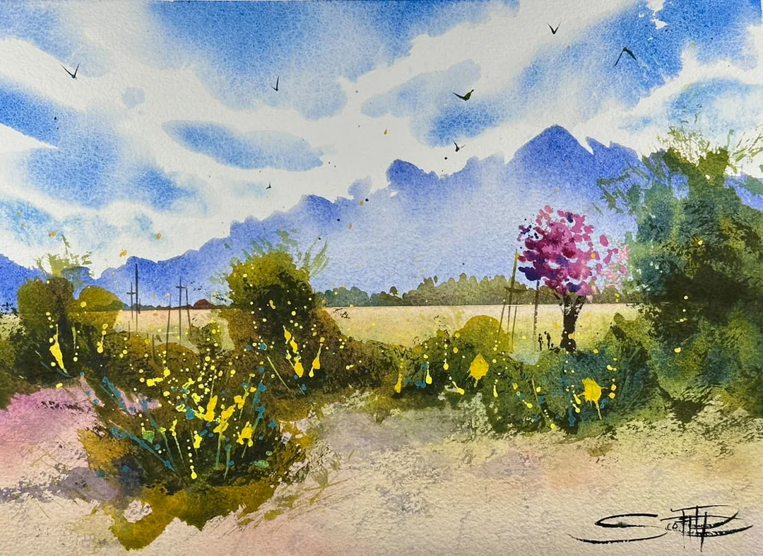 Picture